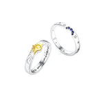 cd73114a45841fa6dac1abdb011479c9